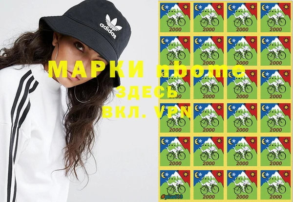 ГАЛЛЮЦИНОГЕННЫЕ ГРИБЫ Балабаново