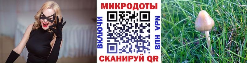 Галлюциногенные грибы GOLDEN TEACHER  Шацк 